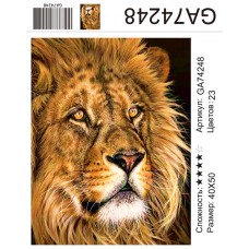 Алмазная мозаика 40x50 на подрамнике  GA74248 Животные, лев, львы, купить по низкой цене.