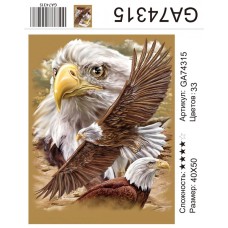 Алмазная мозаика 40x50 на подрамнике  GA74315 Животные, птицы,орел.Купить по низкой цене.