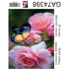 Алмазная мозаика 40x50 на подрамнике  GA74398 Цветы,бабочки,купить по низкой цене.
