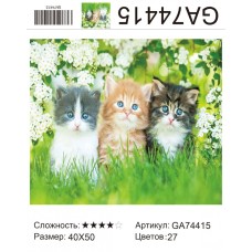 Алмазная мозаика 40x50 на подрамнике  GA74415 Животные, кот,котята,кошки,купить по низкой цене.
