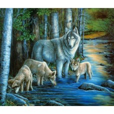 Алмазная мозаика 40x50 на подрамнике  GA74551Животные,волки, волк,купить по низкой цене.