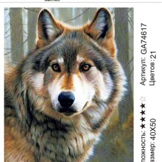 Алмазная мозаика 40x50 на подрамнике  GA74617 Животные,волк,волки