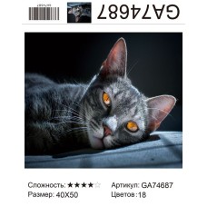 Алмазная мозаика 40x50 на подрамнике  GA74687 Животные,черный кот,кошка,кошки