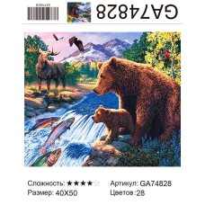 Алмазная мозаика 40x50 на подрамнике  GA74828 Животные,медведь,медведи