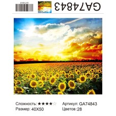 Алмазная мозаика 40x50 на подрамнике  GA74843 Пейзаж,подсолнухи,подсолнух,цветы,купить по низкой цене.