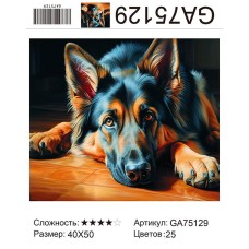 Алмазная мозаика 40x50 на подрамнике  GA75129 Животные,овчарка,собака,собаки,купить по низкой цене.